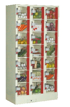 locker21.jpg 230X350